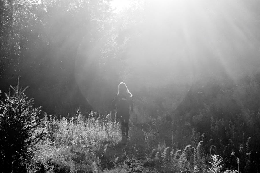 Into the Woods...