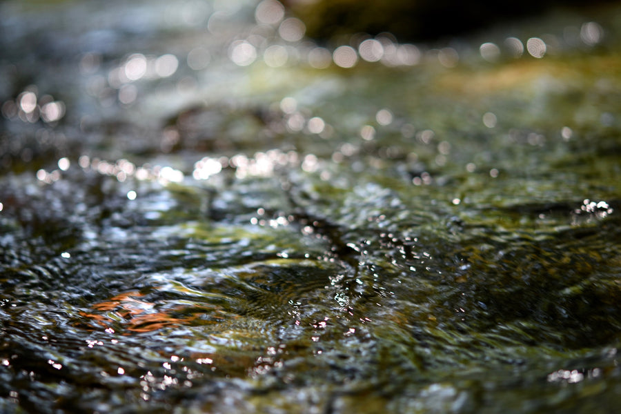 Rushing Brook