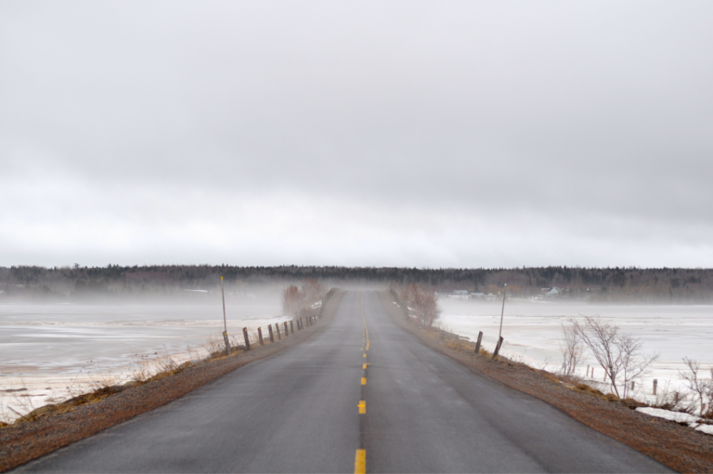 Sacred Life.  Winter Greens.