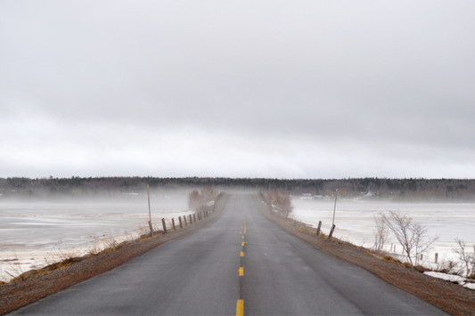 Sacred Life.  Winter Greens.