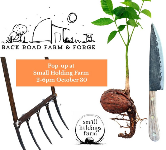 Pop-up at Small Holdings Farm!