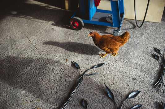 In the shop, on the land